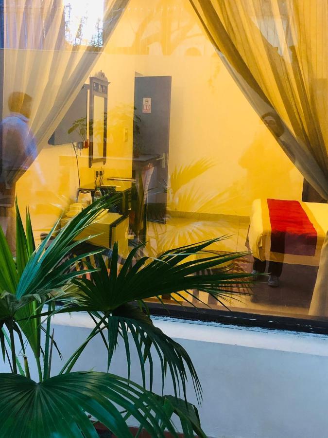 مبيت وإفطار نيودلهي The Neem المظهر الخارجي الصورة