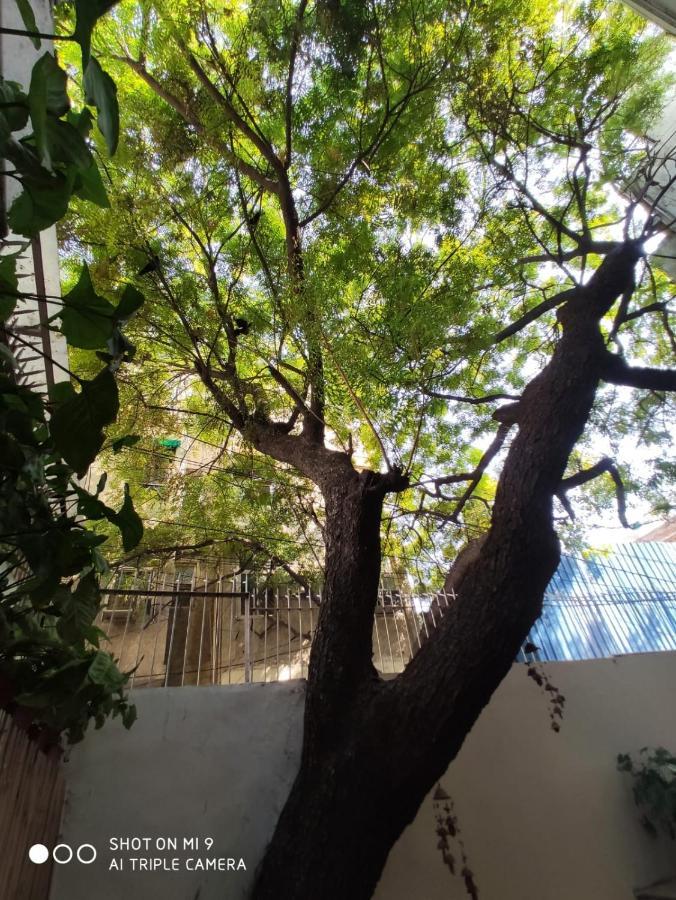 مبيت وإفطار نيودلهي The Neem المظهر الخارجي الصورة