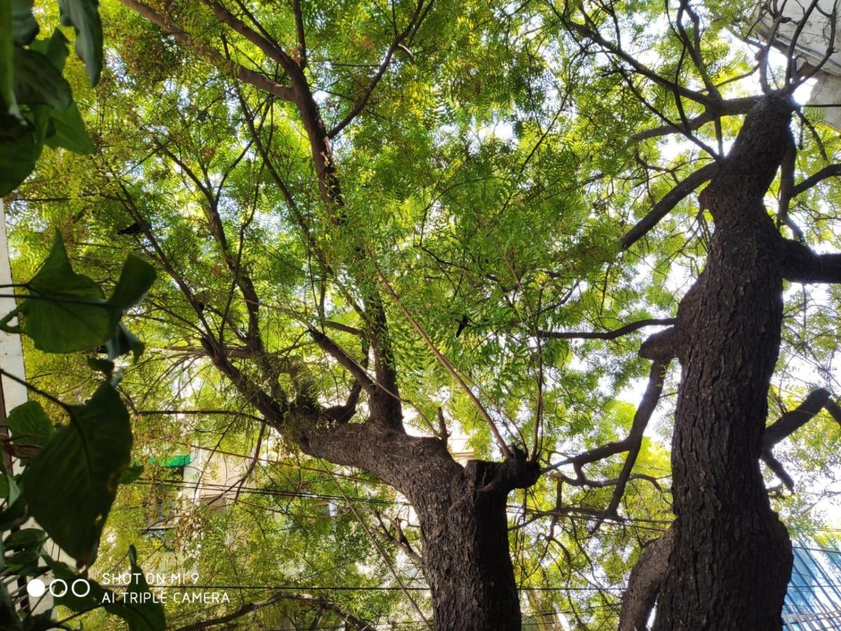 مبيت وإفطار نيودلهي The Neem المظهر الخارجي الصورة