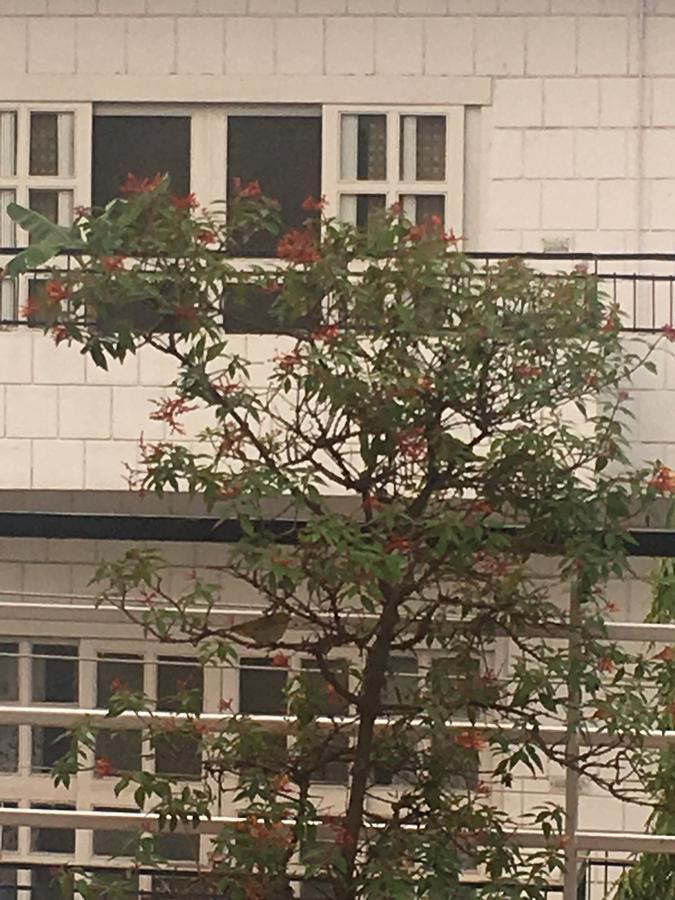 مبيت وإفطار نيودلهي The Neem المظهر الخارجي الصورة
